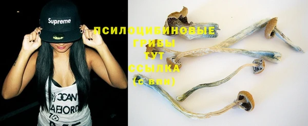 герыч Алексин