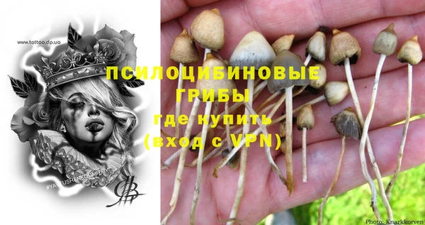 PSILOCYBIN Алексеевка
